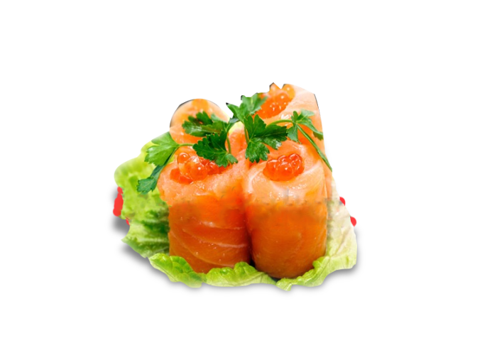 TU2 SALMON