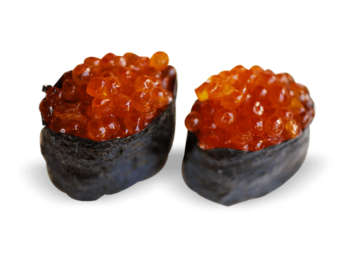 SP2 SALMON EGG